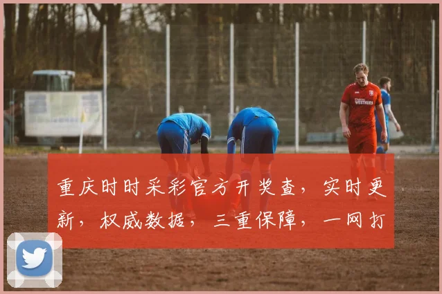 重庆时时采彩官方开奖查，实时更新，权威数据，三重保障，一网打尽