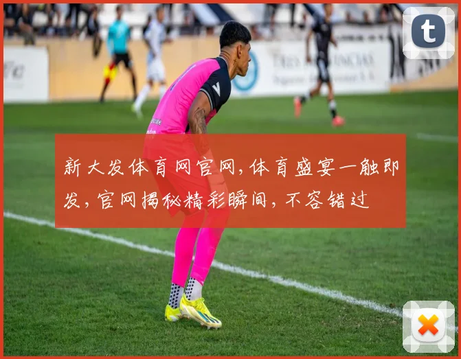 新大发体育网官网,体育盛宴一触即发,官网揭秘精彩瞬间,不容错过