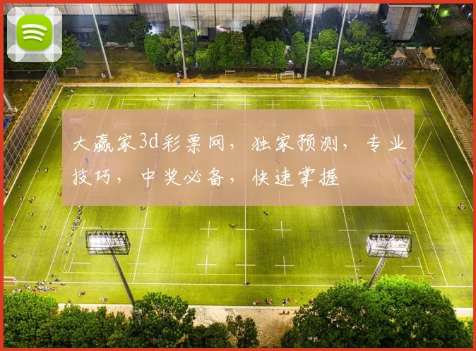 大赢家3d彩票网，独家预测，专业技巧，中奖必备，快速掌握