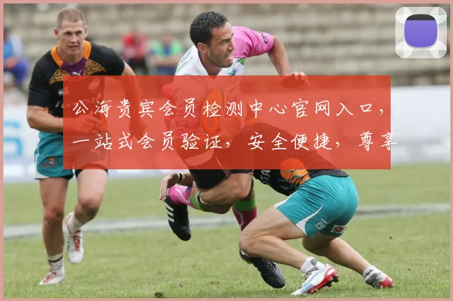 公海贵宾会员检测中心官网入口，一站式会员验证，安全便捷，尊享特权，三步直达