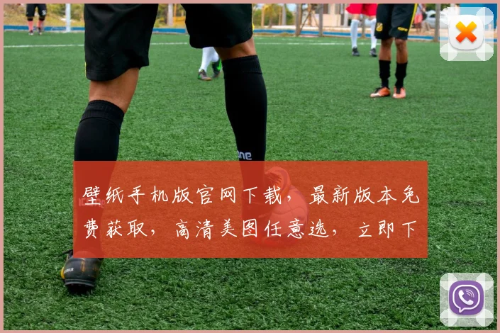 壁纸手机版官网下载，最新版本免费获取，高清美图任意选，立即下载，享受视觉盛宴