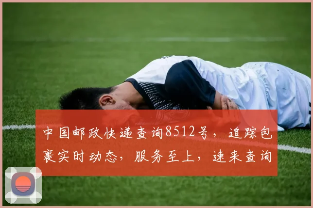 中国邮政快递查询8512号，追踪包裹实时动态，服务至上，速来查询，三步轻松搞定