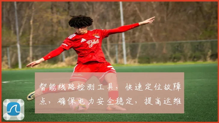 智能线路检测工具，快速定位故障点，确保电力安全稳定，提高运维效率三合一。